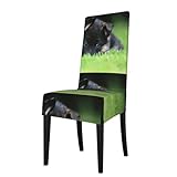 Entretien : Lavable en machine, facile d'entretien. Laver séparément à l'eau froide, cycle délicat. Ne pas utiliser d'eau de Javel