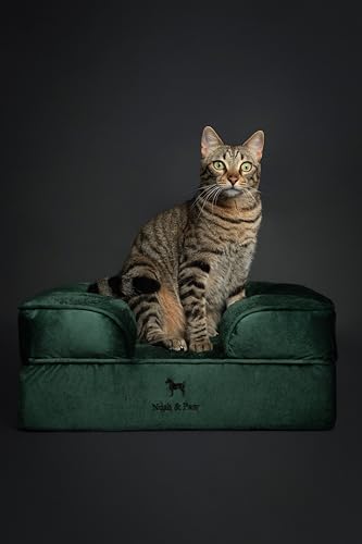 Image of NOAH & PAW Small Dog Bed, 20x15x8 Inch, Cat Bed for Indoor Cats, Orthopedic Eggshell Memory Foam Infused with Cooling Gel, Water Resistant Inner Cover Machine Washable (Velvet Collection)
