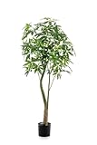 Oasis of Life Plante artificielle Pachira Aquatica - Châtaignier porte-bonheur 180 cm - Imitation réaliste avec feuilles brillantes et double tronc - Arbre artificiel sans entretien pour la maison et