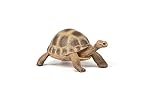 Papo - Realistic Hermann’s Tortoise Figure - Ages 3+ - Wild Life Collection - Educational Play Reptiles - Gift Idea Toy for Girls and Boys