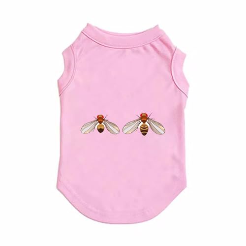 [QINTIW] �� �� XXL ���� ���̕� �ĕ� ������ ���Ȃ� �m�[�X���[�u ������ �t �� �t�� �t�� �ėp �t�@�b�V���� �����^�� ���p �m�� ���� ������^�����L�� �s���N �ʋC ���₩ ���U�� ���o���� T�V���c �h�b�O�E�F�A