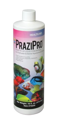 Hikari PraziPro 16 oz