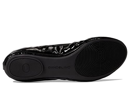 Image of Bandolino Edition 8