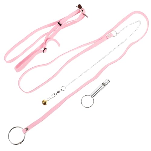 BUGUUYO Adjustable Tortoise Pet Harness Turtle Walking Leash Pulling Rope Pet Supplies Outdoor Use Random Color