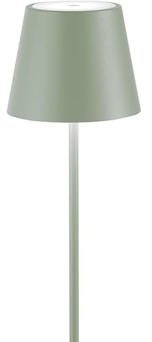 Anna Flowers Lampada da tavolo ricaricabile in alluminio, LED dimmerabile touch, 5W, 3 temperature di colore [Classe di efficienza energetica A+++] (Grigio)