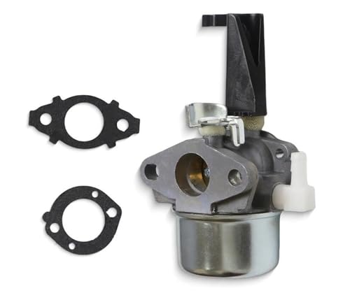 Carburateur 215369 anti-fuite avec joints pour réparer le moteur de motoculteur