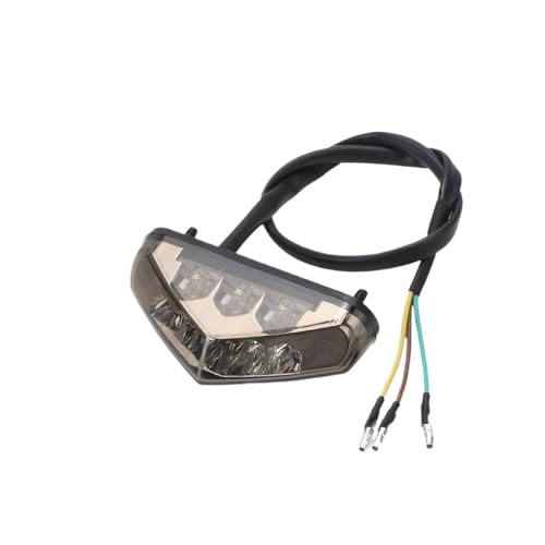 Feu arrière LED pour moto et scooter avec éclairage plaque
