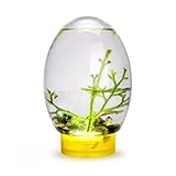 Mini Aquarium Fish Tank Ecosphere Closed Aquatic Ecosystem with LED Light Desktop Aquarium Stable Yellow Base No Need to Feed or Change Water, Biosphere Ecosystem