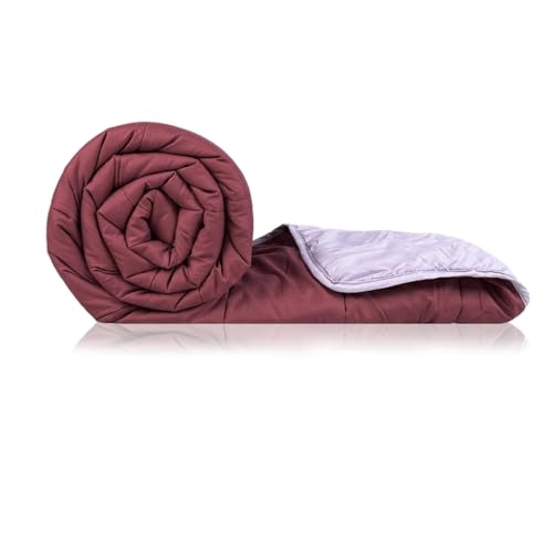Image of Zinnia Ultra Soft Microfibre Reversible Comforter -Double 230 X 255 CM, Light Purple and Burgundy(Solid - Dark)