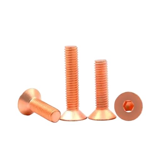 KIZUNA Tools 2-10PCS M2 M2.5 M3 M4 M5 M6 DIN7991 T2銅皿頭六角ネジフラットヘッド六角ソケットボルトマシンネジ(X6mm,M2.5 10pcs)