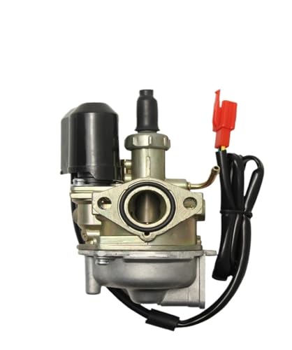 Carburateur 19mm idéal pour restaurer votre scooter de loisir AF28