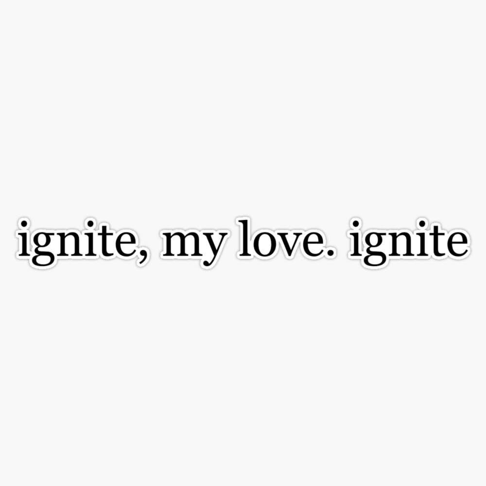 Ignite My Love. Ignite. Shatter Me Sticker Vinyl Waterproof Sticker Decal Car Laptop Wall Window Bumper Sticker 5"