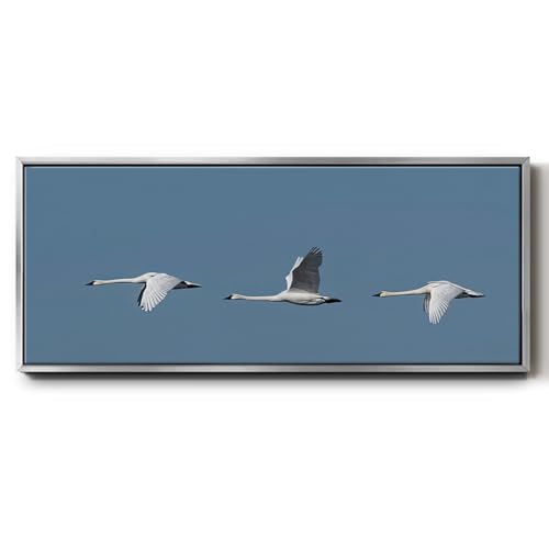 Renditions Gallery Birds Life Canvas Wall Art Tundra Swans in Flight Floater Frame Prints & Paintings for School Hotel Farhmhouse - 12"X30" SILVER Frame GAL042