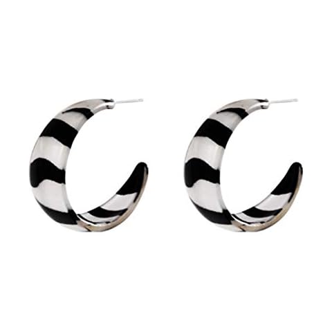 AIEDE Earrings Acrylic Marbled Earring Leopard Round Hoop Earrings (Zebra Print) Cover