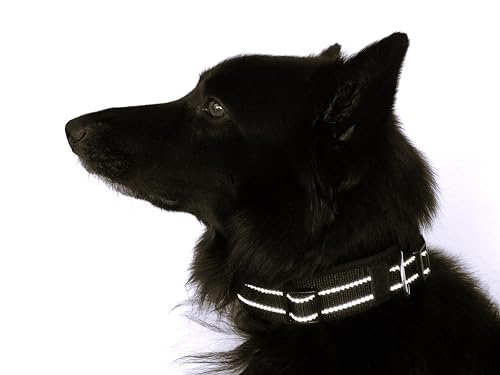 BUDDYPACK | Extra-Breites Hundehalsband mit Reflektorstreifen | Weiches Neopren-Polster | Größe XXS-3XL Verstellbar (S/M (41-46 cm), Schwarz)