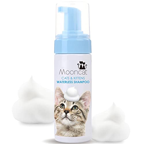 Find The Best Dry Shampoo For Cats Reviews & Comparison Katynel