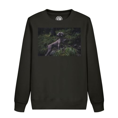 Sweatshirt enfant Braque de Weimar le cadeau idéal pour jeune ami des chiens