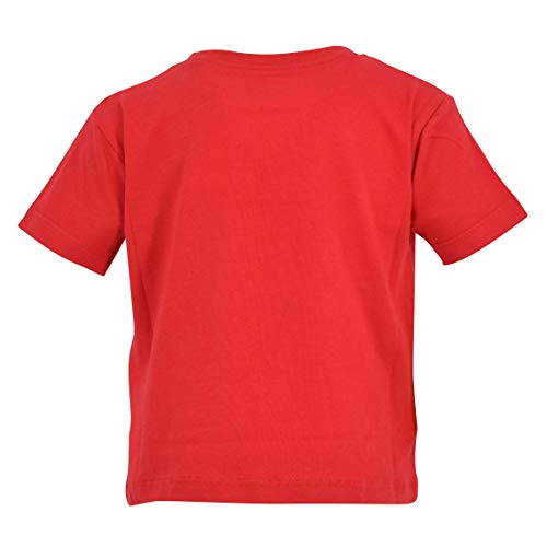 Image of Boys Short Sleeve Funny Graphic Tees for Toddler to Big Kid