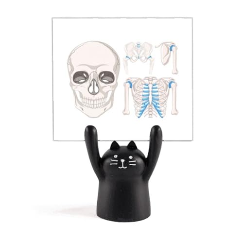 Illustration squelette humain et chat noir pour sublimer votre coin lecture