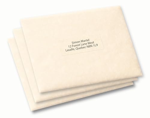 Avery Clear Rectangle Labels with Easy Peel for Laser and Inkjet Printers, 1" x 2-5/8", Glossy Clear, Rectangle, 300 Labels, Permanent (7666) Made in Canada image 6