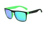 DUBERY Polarized Sunglasses Men's Driving Shades Male Sun Glasses For Men Retro Cheap 2017 Luxury Brand Designer Oculos