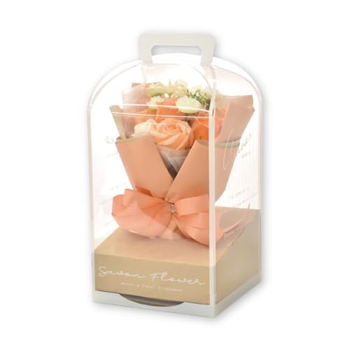 |s[É \[vt[ V{t[  Mtg v[g u[P o ԑ 28cm NAP[Xt SBL-207 IW