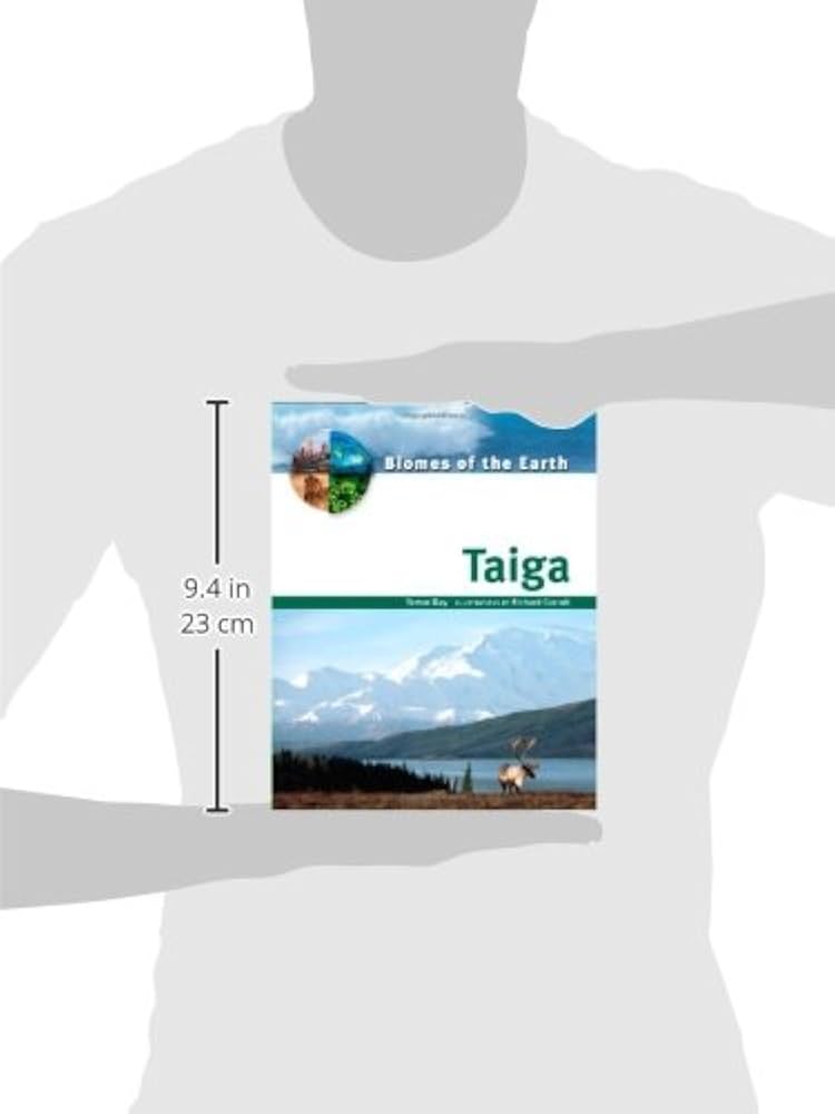 Taiga 3ED 英語　① Taiga 3ED 英語 ① カイ Taiga 3ED 1枚 英語 MP Taiga》[3ED] 土地R