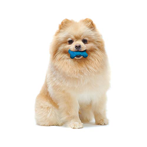 Nylabone Moderate Chew Flexi Chew Bone Peanut Butter & Bacon XX-Small/Tiny (2 Count) by Nylabone - Image 3