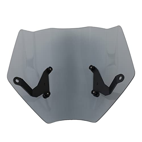 Windscreen Triumph Trident 660 2021 saute-vent gris protection aérodynamique