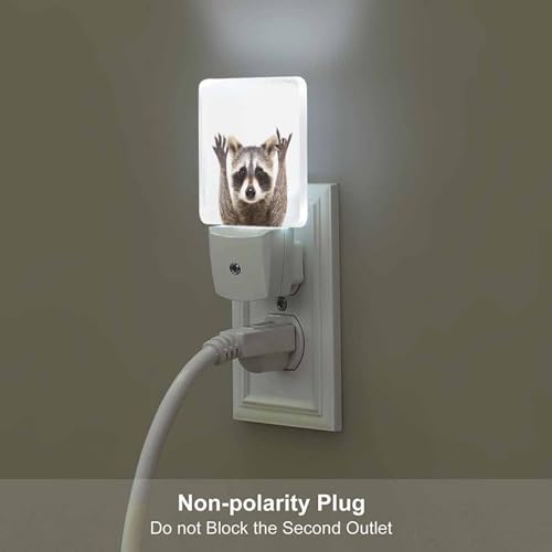 Image of LED Night Light,Funny Cute Raccoon LED Night Light Plug into Wall with Dusk to Dawn Light Sensor White Energy Efficient Nightlight for Bedroom Bathroom Hallway Living Room Kitchen
