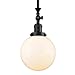 Innovations 206-BK-G201-8 1 Light Mini Pendant, Matte Black