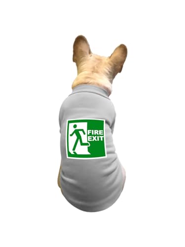 ���� ���� ���S �y�b�g�� T�V���c �H�~ �g���[�i�[ �L�� �h�� �g���� �J�W���A�� ������� ������ ���[���E�F�A ���� �E�ѕی� ���o���� �U�� S