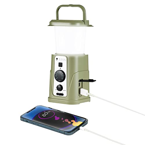iRonsnow Lanterne Solaire à Manivelle 10000mAh, Radio à Manivelle d'urgence, Radio Portable AM/FM/WB, Radio Solaire avec Batterie Externe, Lanterne électronique Extérieure, Alarme SOS (Green) Cover