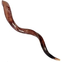 Half Polished Kosher Shofar from Israel, Kudu Shofar Horn, Officially Signed Certificate, Made in Israel 43"-47"