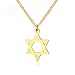 Produktbild AILUOR Damen 18K Überzog Megan Davidstern-Anhänger-Halsketten, Sechs Gezeigten Megan Stern Schmuck/Männer Hip Hop Schmuck Gold Einstellbar