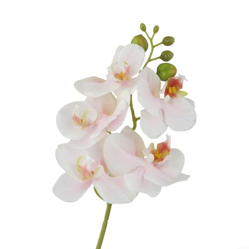 Hermoso tallo de orquídea Phalaenopsis de 17 7 pulgadas para decoración del hogar y eventos (rosa claro)