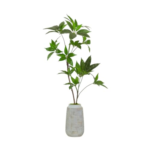 [順次発送]アートフラワー エミリオ・ロバ ツピタンサス TUTTA03350