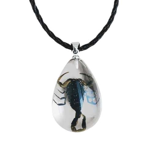 POYAMUSE Real Scorpion Pendant Necklace for Men and Women - Resin Bug Necklace, Scorpion Pendant Necklace - Amber Insect Necklace