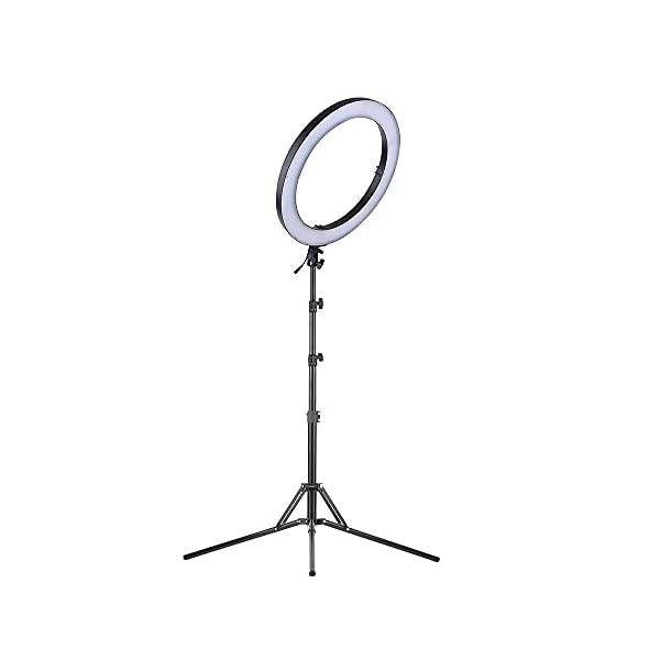 ROM XL 19 Zoll 720 LED Ringlicht mit Ständer 2 m Telefonhalter 3200K-5600K Zweifarbiges dimmbares Streaming-Licht CRI90…