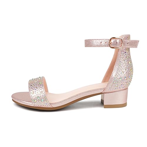 Girl's Low Heel Sandals Ankle Strap Dress Shoes Open Toes Summer Wear for Kids