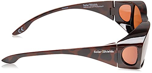 Dioptics Eldorado Polarized Rectangular Sunglasses3