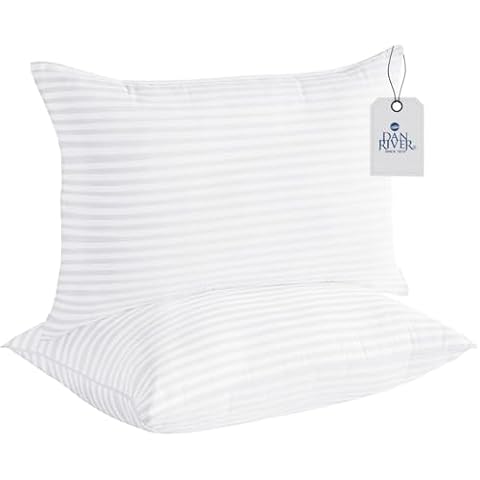 DAN RIVER Striped Queen Pillows Set of 2 Cover