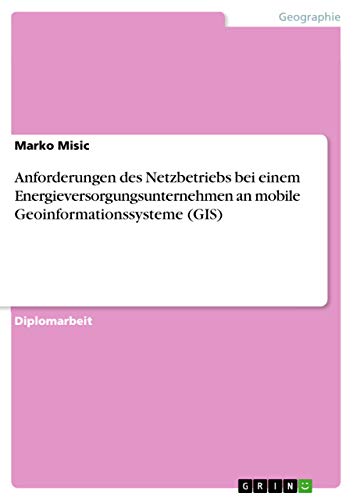 Anforderungen des Netzbetriebs bei einem Energieversorgungsunternehmen an mobile Geoinformationssysteme (GIS) (German Edition)