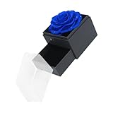 BESPORTBLE Schmuckschatulle Mit Konservierten Rosen Geschenkbox Für Ewige Mit Kette Verpackungsbehälter Für Konservierte Blumen Schmucketui Zum Aufbewahren Von Schmuck
