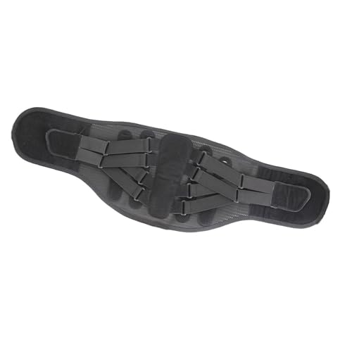 MX^rCU[xgAGAt[bVpltAlԍHwɊÂ\AhCo[nCJ[tBbglXDƌɒ\AMkxg