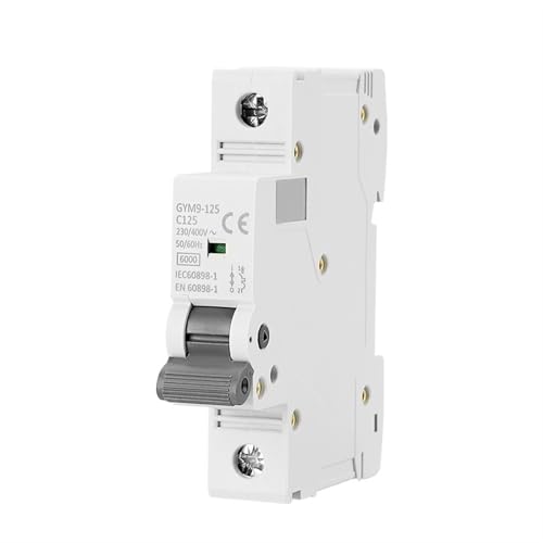 Mini disjoncteur GYM9-125 80A 230V idéal pour la recharge de véhicule électrique à la maison