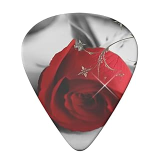 Ensemble de 6 médiators de guitare Red Rose pour guitare acoustique, guitare électrique, basse, ukulélé – fin, moyen et… - Les Beatles, Paul McCartney, John Lennon, RIngo Starr, George Harrison Ensemble de 6 médiators de guitare Red Rose pour guitare acoustique, guitare électrique, basse, ukulélé - fin, moyen et… – Image 3