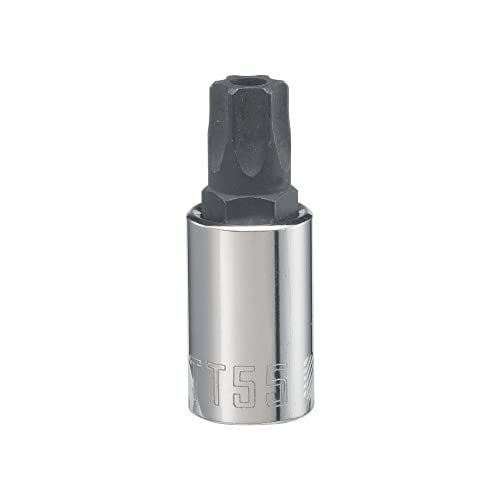 CRAFTSMAN Torx Bit Socket 3/8-in. Drive T55 (CMMT42689)