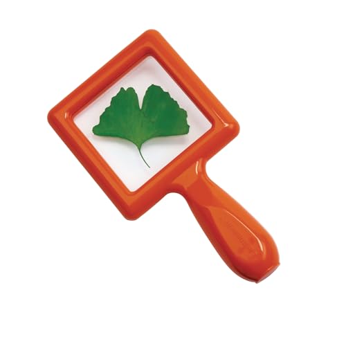 Image of Environments Toddler Specimen Viewers Set of 4 (Item # SPECISEE)