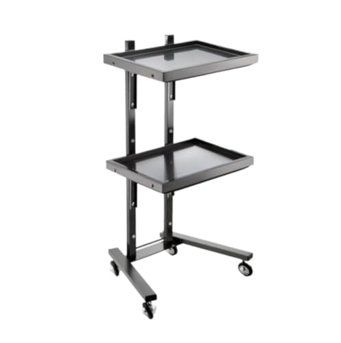 Salon Rolling Trolley with Foldable Design and Stainless Steel Construction for Hairdressing Black Beauty Cart with Wheels and Tray Storage,Black-40 * 30 * 86cm